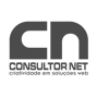 Consultor Net2